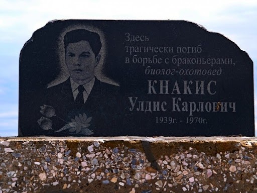 Миграция сайги