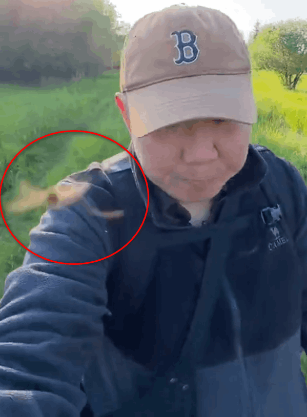 Якут дело говорит