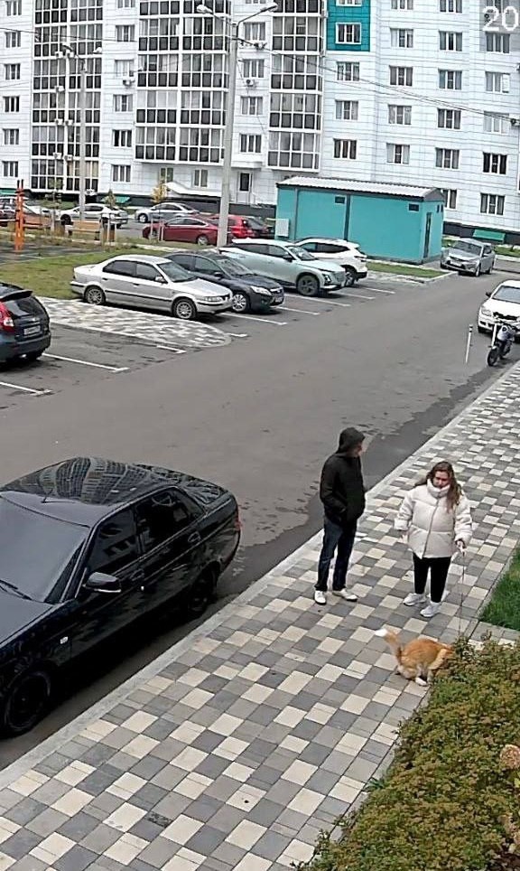 Последствия подло оставленной собачей мины в воронежском ЖК — человек чуть не сел на шпагат