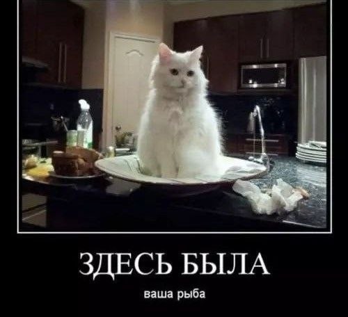 Воскресные картинки