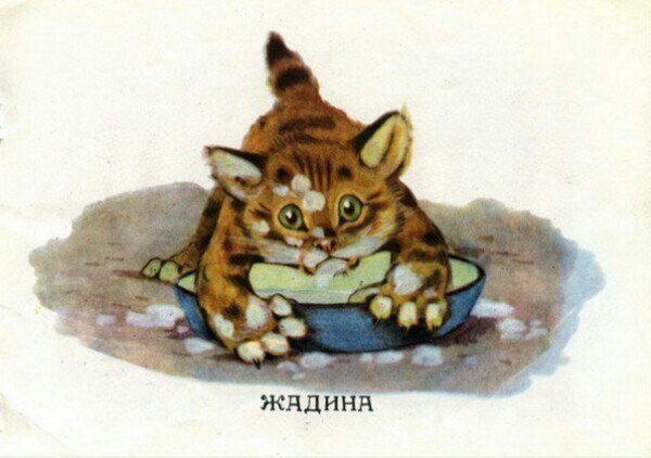 Редкие кадры и архивные снимки 05.11.25