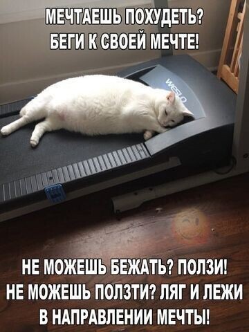 Субботние картинки