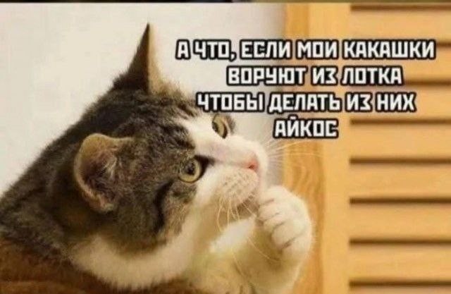 Картинки для деградации 130 (разной степени свежести)
