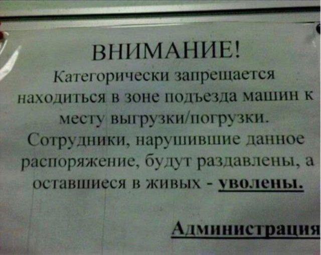 Картинки для деградации 166 (разной степени свежести)