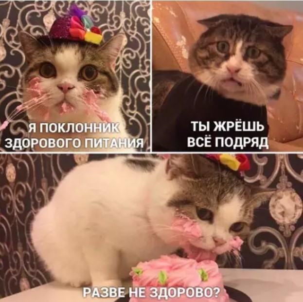 Картинки новые и старые, баяны и аккордеоны