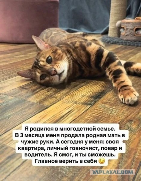 Ну нихрена себе