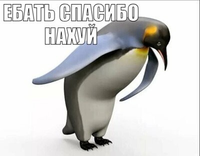 Всем привет! Футбол и воскресенье.