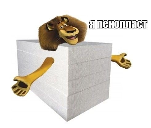 Знакомьтесь: гюинья — самая маленькая дикая кошка Америки размером с котёнка