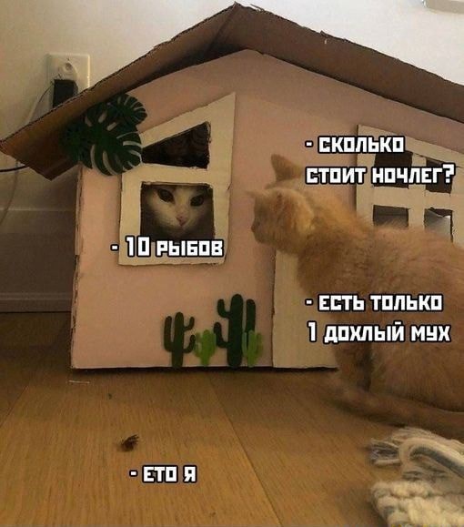 Рисовач 2.0