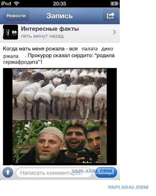 Идиот