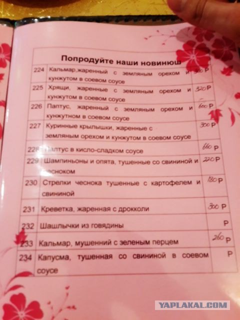 Меню на русском языке из ресторанов мира