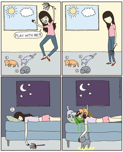 Котяки, они такие!