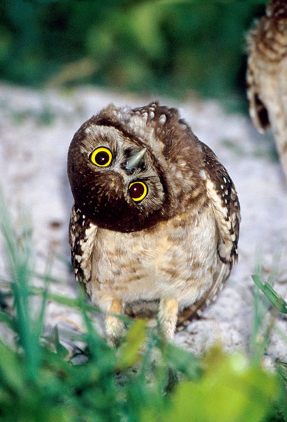 То чуство, когда не понимаешь, что это и зачем