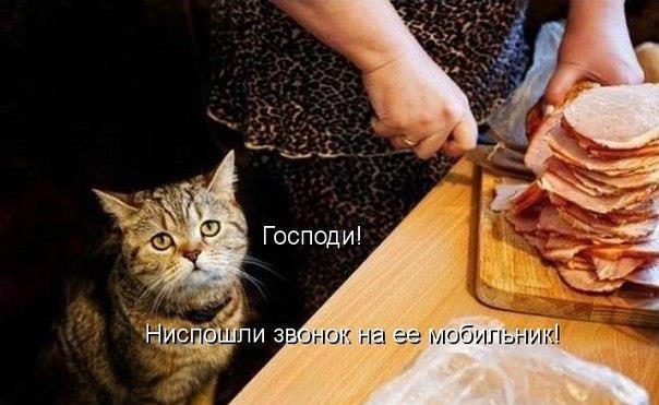 Веселые картинки.