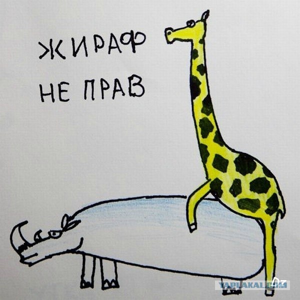Воскресный тупнячок