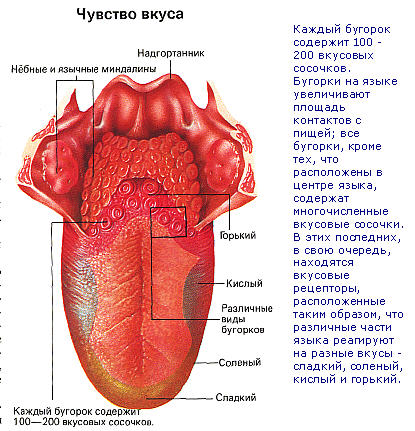 35 популярных «фактов» рунета