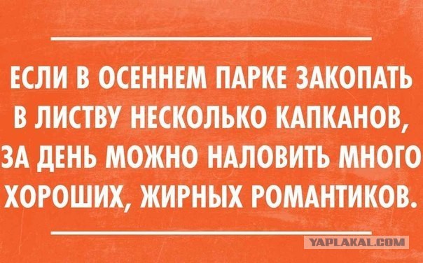 Немного картинок и юмора