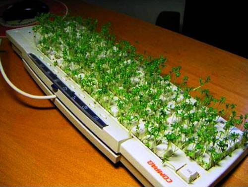 Весёлые картинки