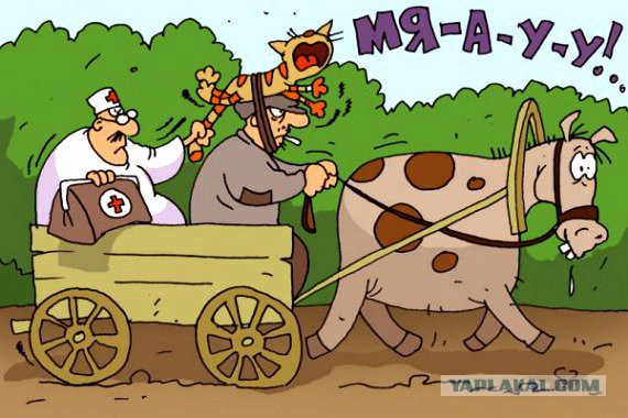 Поговорим о медицине