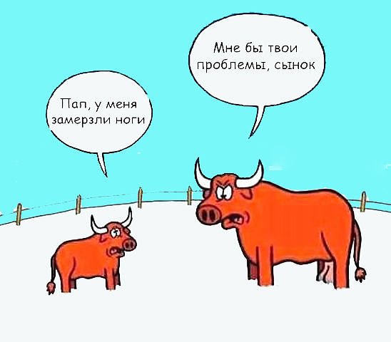 Картинки из сети