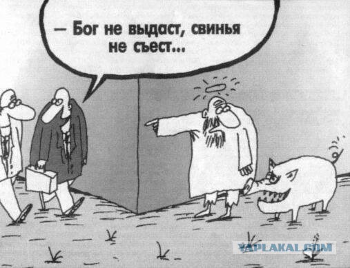 Карикатуры