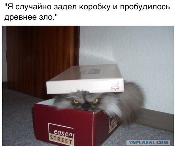 Пятница немного настроения