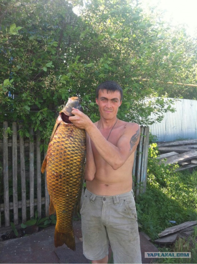 Сходили на рыбалочку