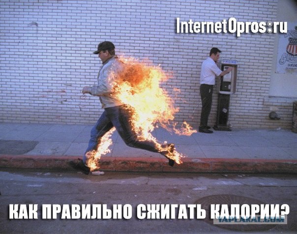 И вновь, ад, кошмар из соцсетей