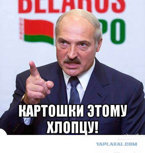 Тем временем в Белоруссии