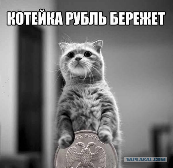 Операция «Эвакуация»
