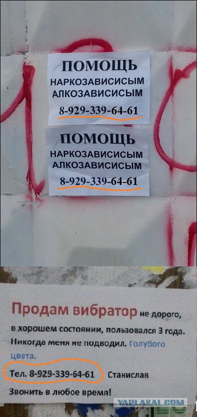 Ужасы и приколы из соцсетей 18+
