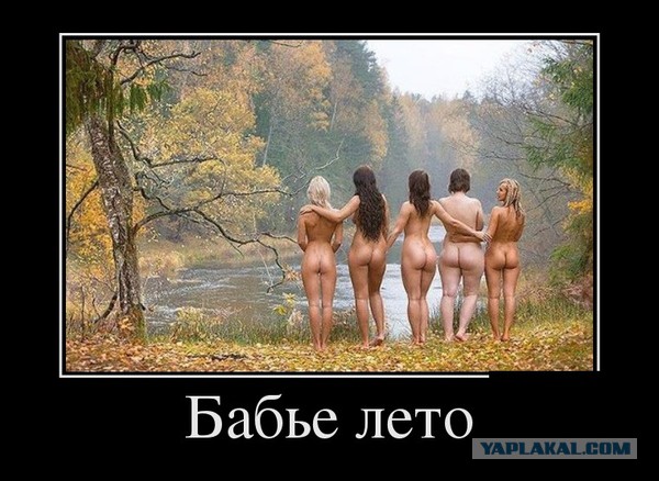 Прикольные картинки и демотиваторы