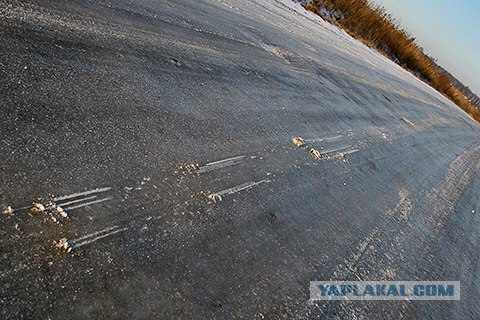Сбил выпускниц