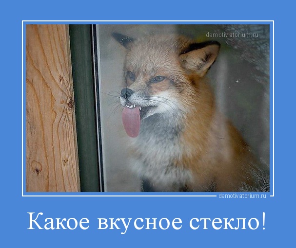 Демотиваторы на Субботу