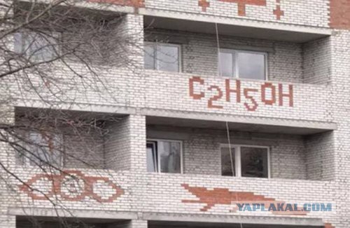 Приколы из сети