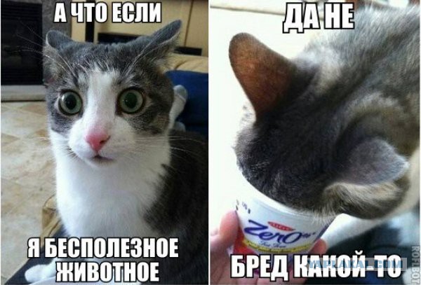 Девушки которые готовят борщ выходят замуж.