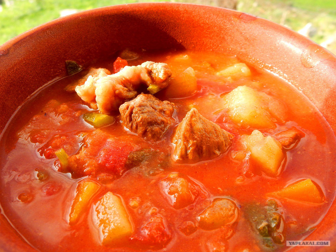 Рецепты томатного супа с говядиной. Томатный суп с говядиной. Томатный суп с мясом. Томатный суп с пельменями. Острый суп из говядины.