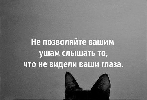 Подборка картинок из сети