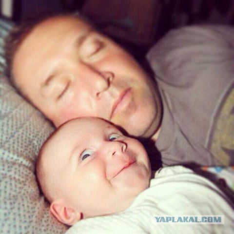 Веселые картинки