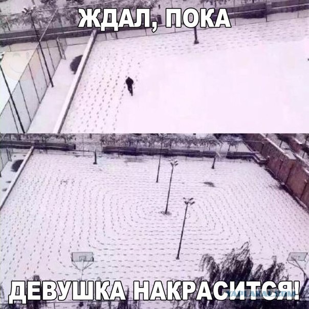 Веселые картинки