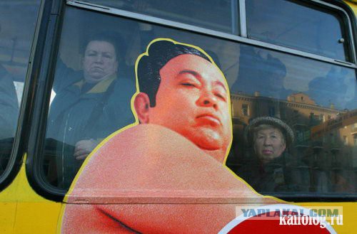 19 фотографий, где фон намного интересней переднего плана