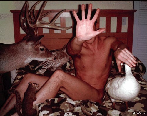 Объясните мне, что происходит !?