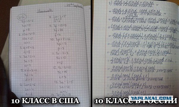 Дочь Пескова, хотевшая в этом году бросить МГУ, заявила о смерти образования в России