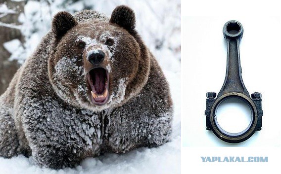 Поиграем в омонимы