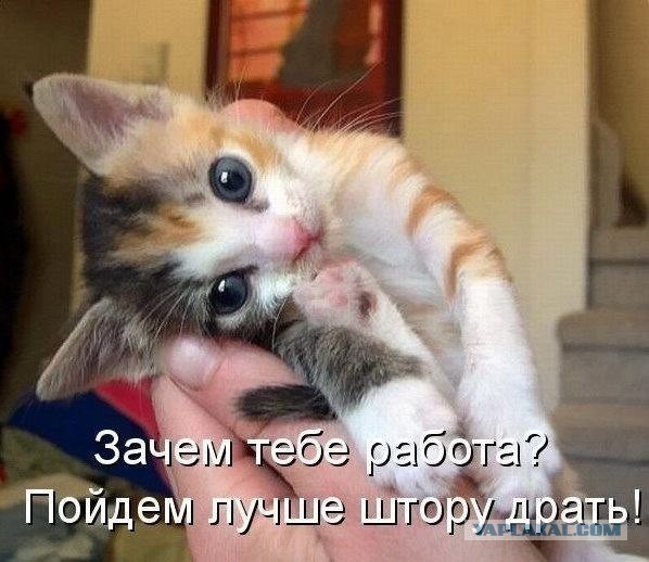 Случайные картинки