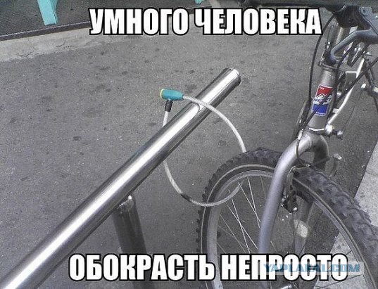 Демы без Темы