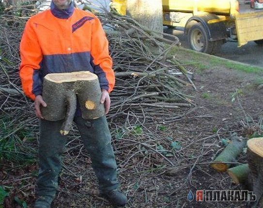 Эта сексуальная природа. РАСТЕНИЯ, ПЕЙЗАЖИ