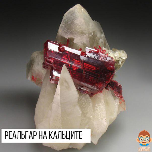 Интересные и веселые картинки