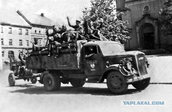 Рабочие лошадки второй мировой