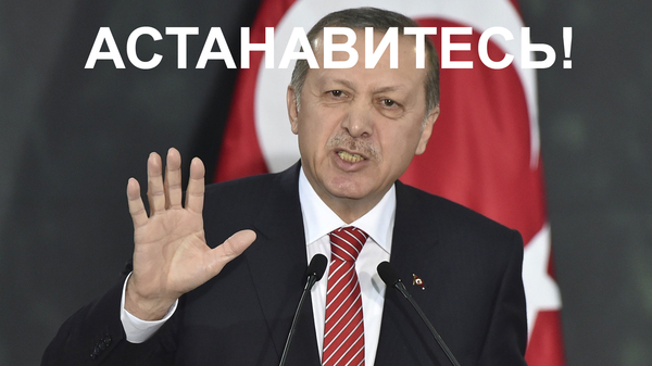 Эх, Эрдоган, Эрдоган...
